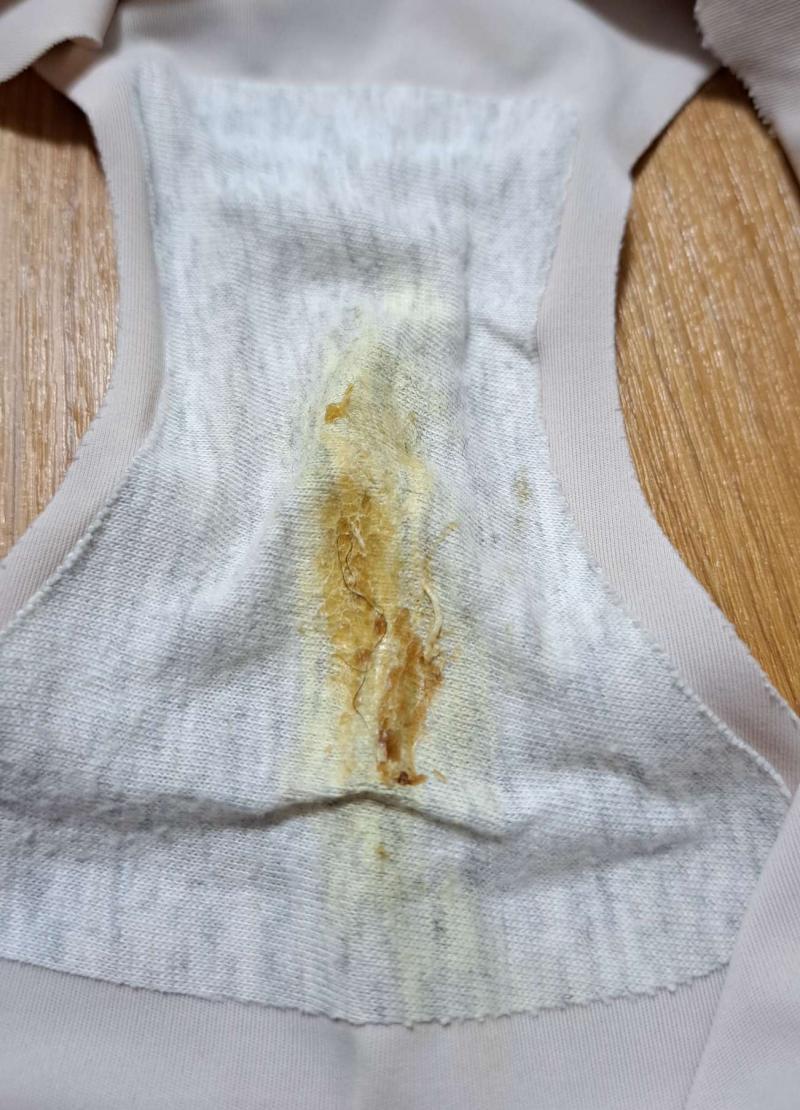出品者名-写真